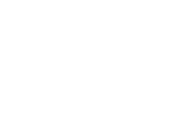 icon home